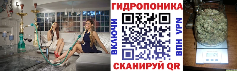 Наркошоп Лакинск Каннабис  A-PVP  ГАШИШ  Мефедрон 