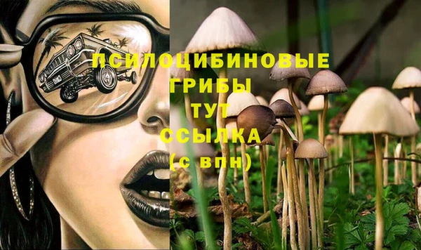хмурый Покачи