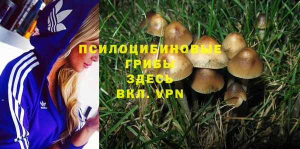 кокаин Гусь-Хрустальный