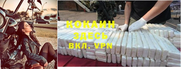 хмурый Покачи